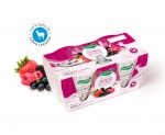 Yogur Prolasa cremoso con frutas del bosque